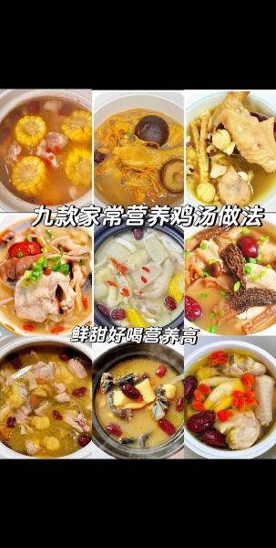 炖鸡汤的做法_炖鸡汤怎么炖才香