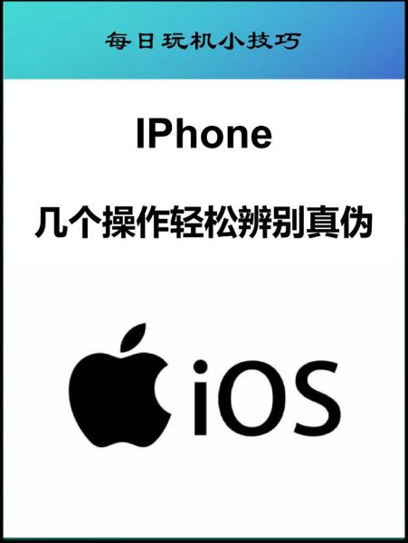 苹果手机背面是什么材质_如何辨别真假