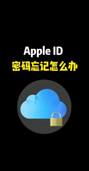 苹果手机怎么看自己的手机号_忘记手机号怎么查