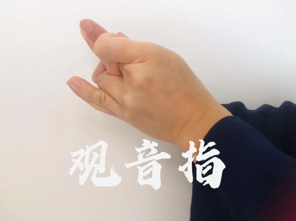 指舞蹈入门动作有哪些_如何自学指舞