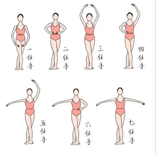 指舞蹈入门动作有哪些_如何自学指舞
