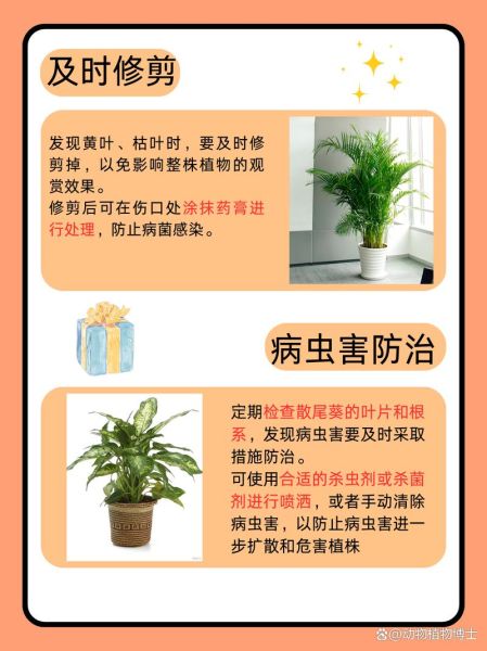 植物枯萎怎么办_如何预防叶片干枯