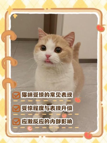 受惊的表现有哪些_受惊后多久能恢复