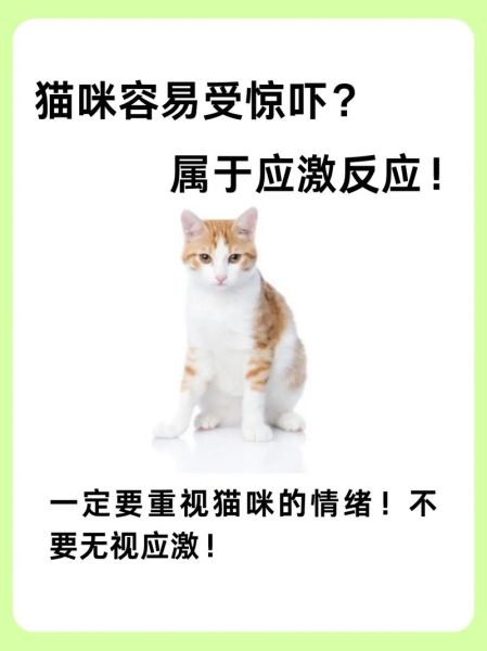 受惊的表现有哪些_受惊后多久能恢复