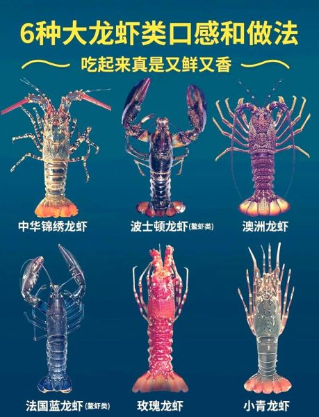 大龙虾怎么做好吃_大龙虾清蒸还是水煮