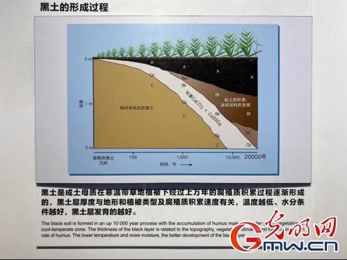 黑土如泥是什么_黑土如泥怎么形成的