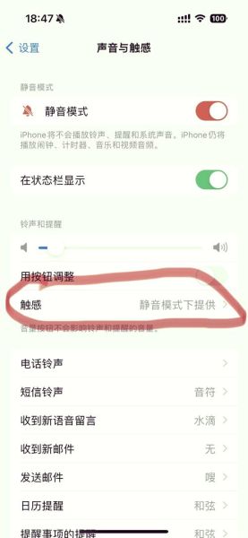 手机专业调音器怎么用_手机调音器哪个准
