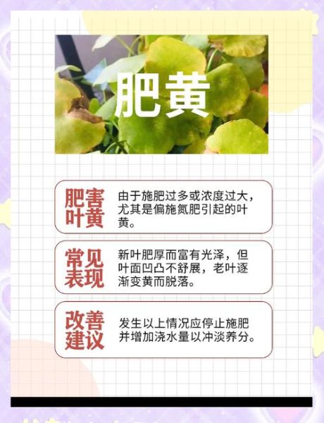 树叶为什么变黄_树叶变黄怎么办