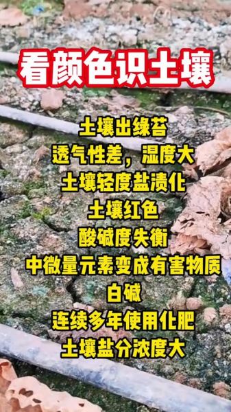土颜色有哪些_土颜色词语大全