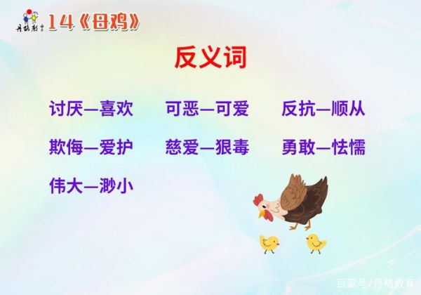 母鸡是什么词语_母鸡是褒义还是贬义
