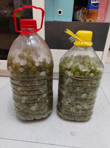 自酿葡萄酒怎么做_自酿葡萄酒需要哪些材料