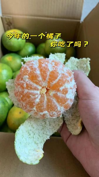 酸酸的口感像什么_酸酸的口感是变质了吗