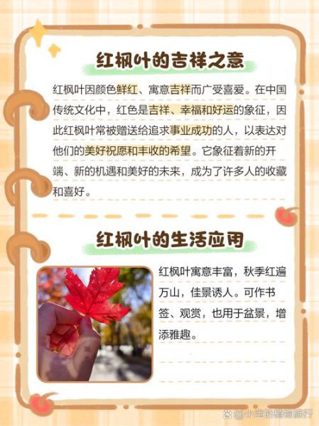 枫叶词语图片大全_如何教孩子识枫叶