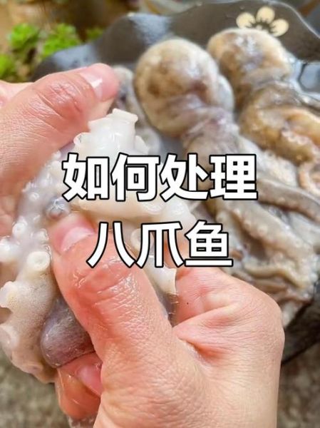 八爪鱼怎么清洗_八爪鱼焯水几分钟