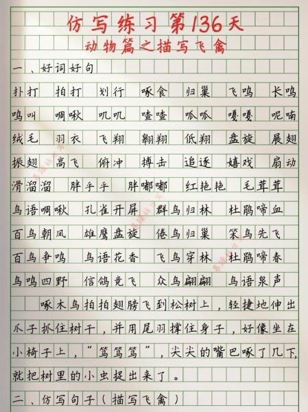 飞翔唯美词语有哪些_如何用在作文里