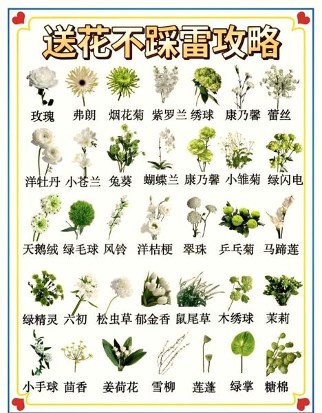 花绿搭配什么颜色好看_花绿配色禁忌有哪些