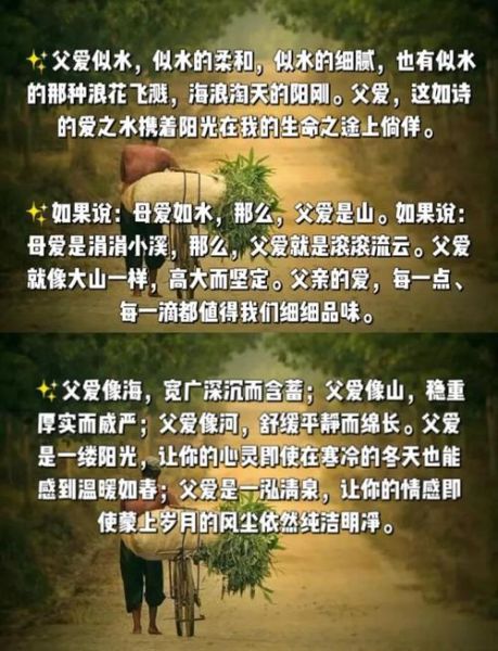 父爱是什么感觉_如何表达父爱