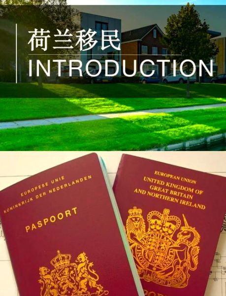 荷兰移民弊端有哪些_荷兰移民后悔了吗