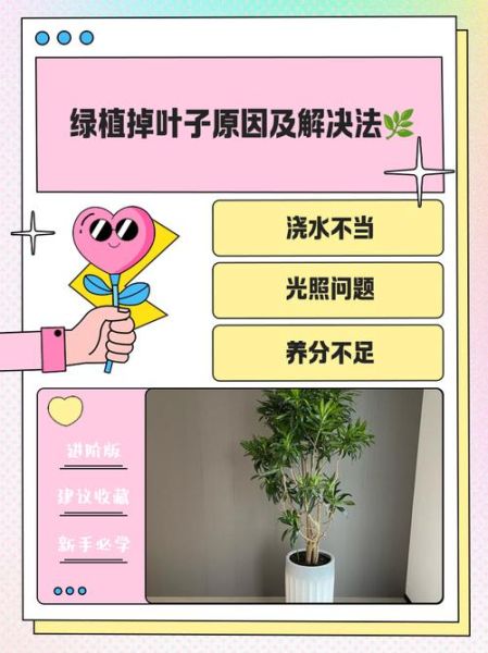 树叶为什么会变绿_如何让树叶更绿