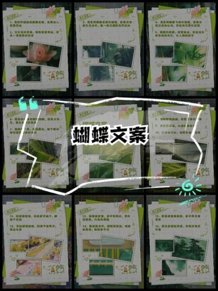 蝴蝶的包装词语有哪些_如何挑选最打动人心的礼盒文案