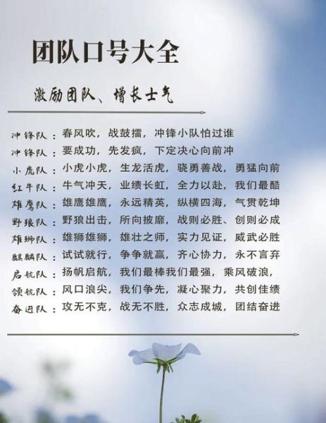 团队风貌怎么描述_团队风貌有哪些词语