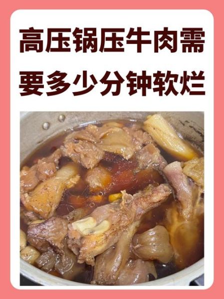 高压锅炖牛腩怎么做_牛腩炖多久才软烂