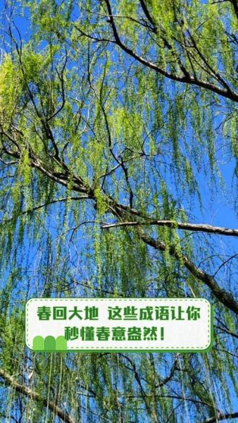 春光明媚_春回大地是什么意思