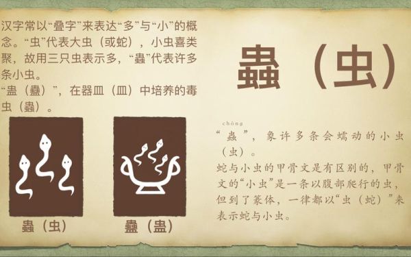 虫组啥词语_虫字旁常用组词大全