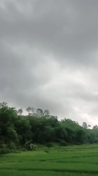 乌云是怎么形成的_乌云和雨云有什么区别
