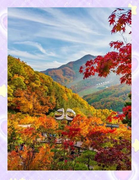 金秋时节去哪里旅游好_秋季赏枫最佳时间
