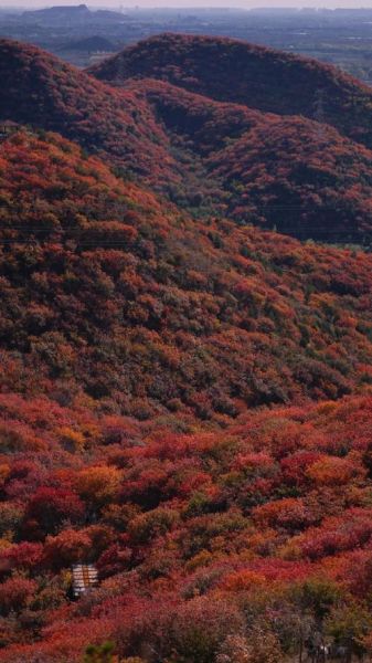 金秋时节去哪里旅游好_秋季赏枫最佳时间