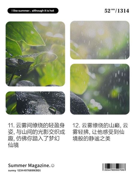 云雾散是什么意思_云雾散怎么造句