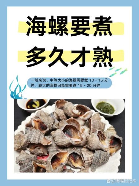 海螺煮多长时间_海螺怎么煮才嫩