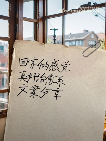 回家的感觉是什么_回家意味着什么