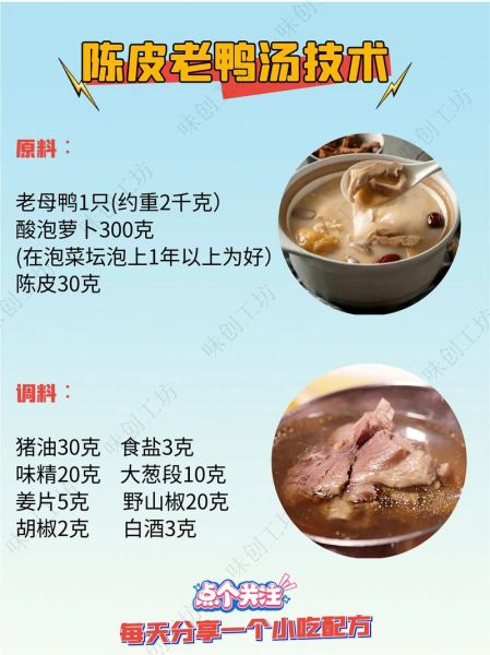 陈皮鸭正宗做法_陈皮鸭怎么做才香