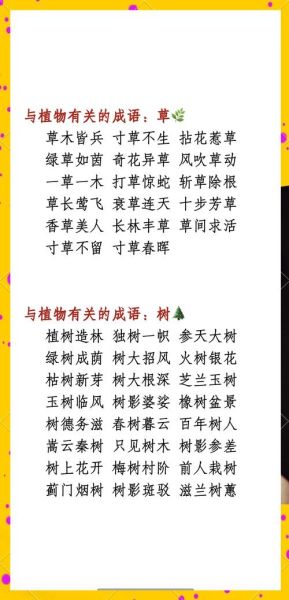 绿化赞美词语有哪些_如何优雅表达绿意