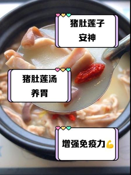 莲子猪肚汤的做法大全_莲子猪肚汤怎么炖最养胃