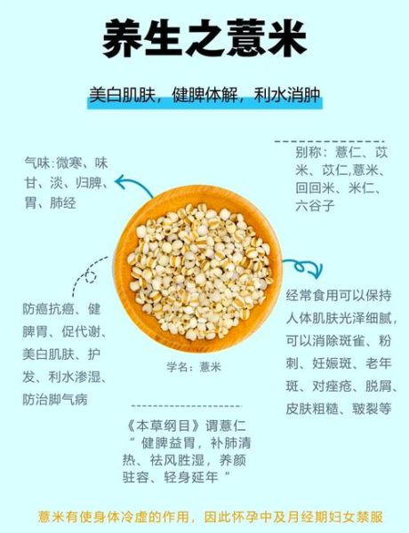 薏米怎么煮不苦_薏米做法大全