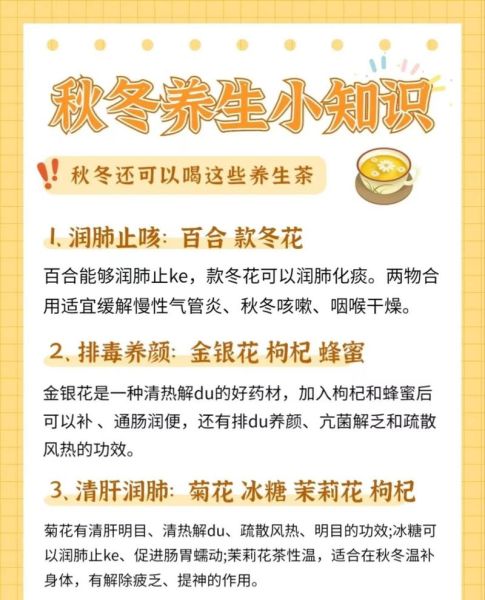 秋气爽适合做什么_秋气爽怎么养生
