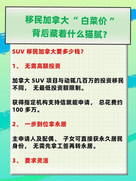 投资移民加拿大条件_需要多少钱