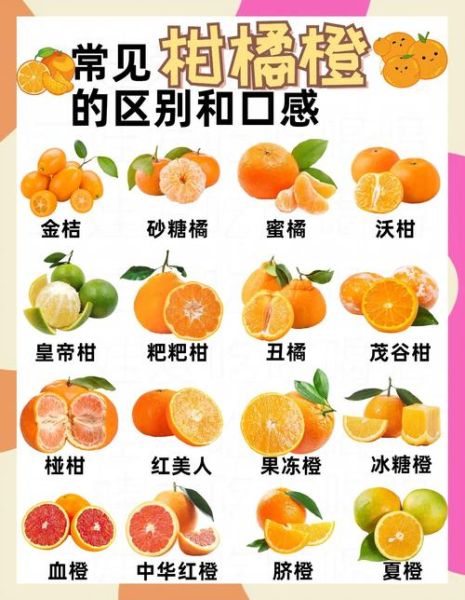 橙子上火吗_橙子一天吃几个最好