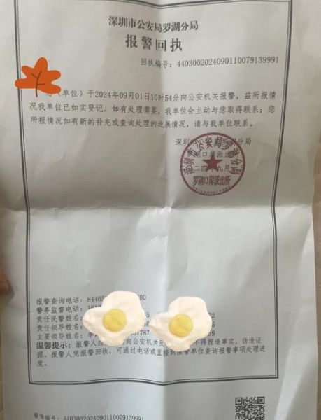 手机丢了可以报警吗_报警后警察会怎么处理