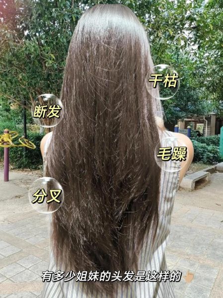 头发干枯毛躁怎么办_头发分叉怎么修复
