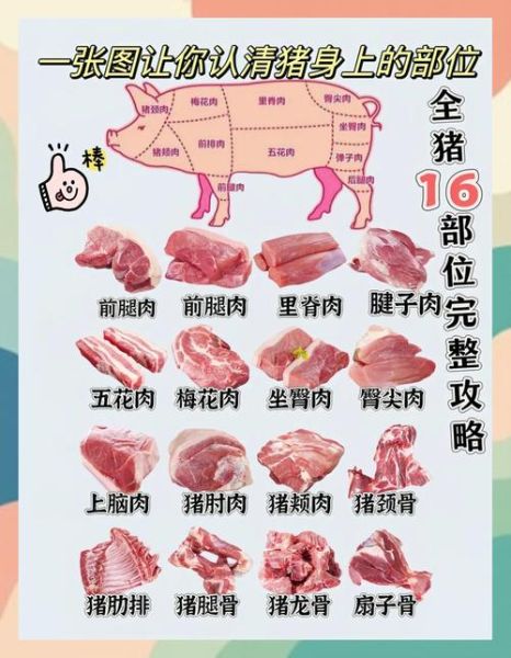 买猪肉怎么挑选新鲜_买猪肉哪个部位最好吃