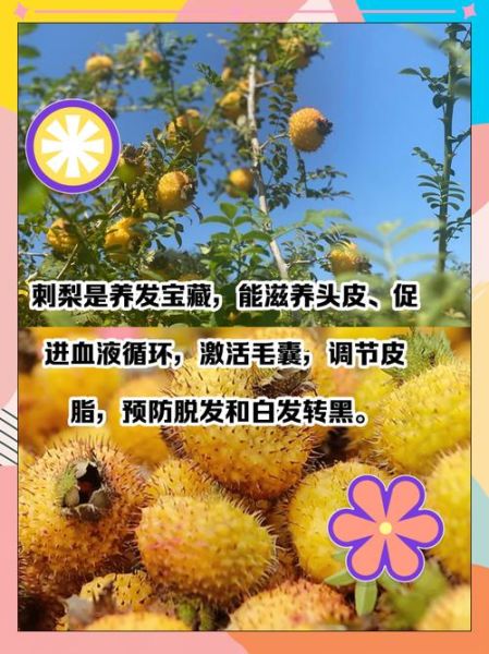 女人白发吃什么好_白发能变黑吗