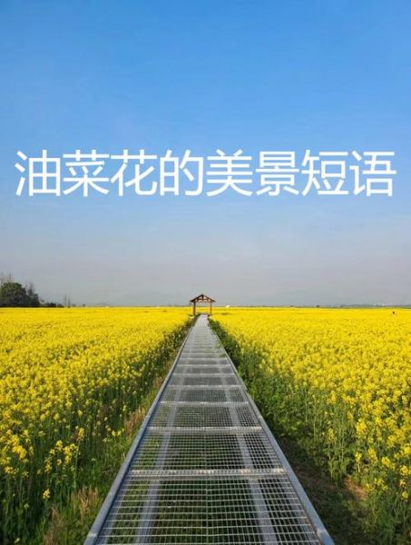鲜花美景怎么形容_形容鲜花美景的词语有哪些