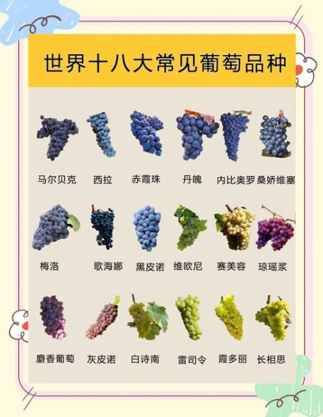 葡萄有哪些品种_如何挑选新鲜葡萄