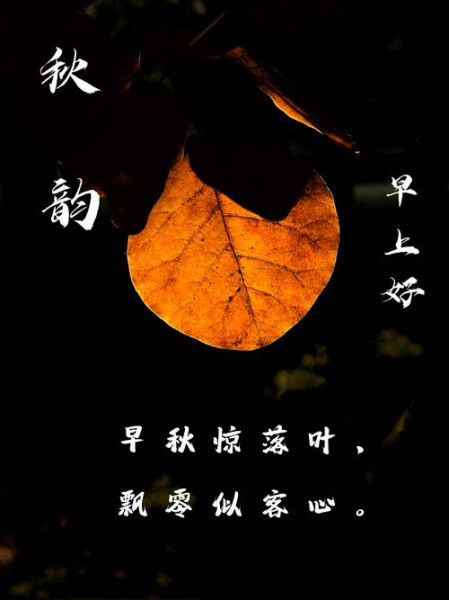 落叶为什么会随风飘_风如何把落叶吹远