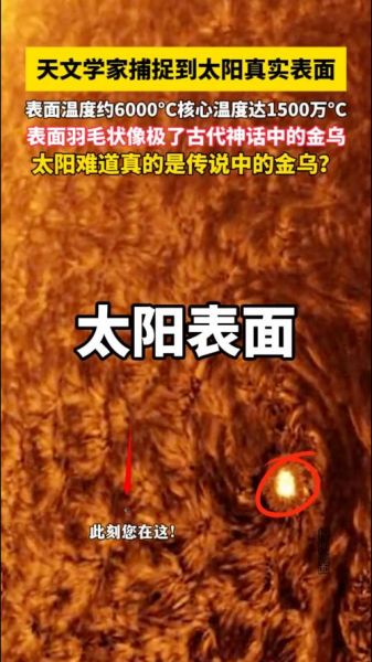 太阳为什么叫金乌_太阳别称有哪些