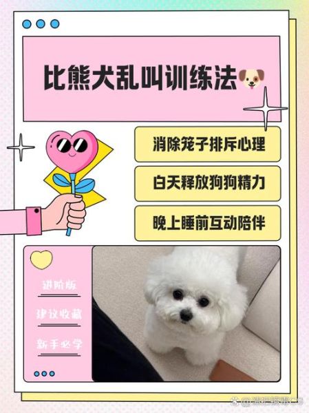 为什么狗狗总是乱叫_怎么训练狗狗不乱叫